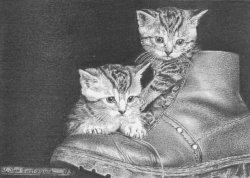 52 los gatitos de la huerta